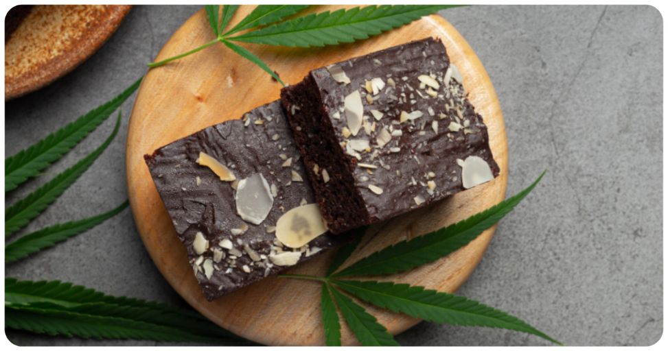 comment cuisiner le chanvre